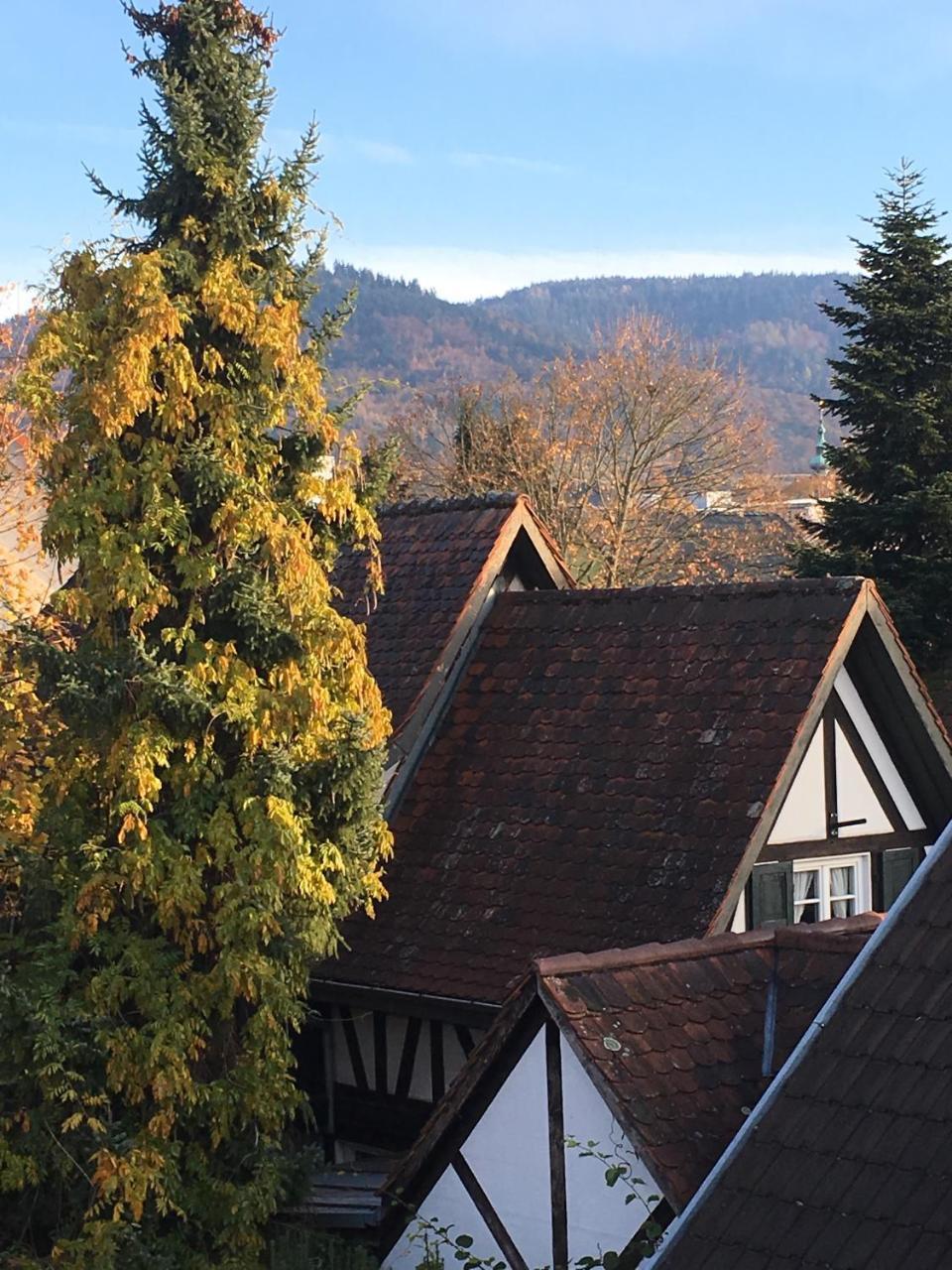 Die Gruene Bettlad Boutique-Hotel Buhl Bagian luar foto